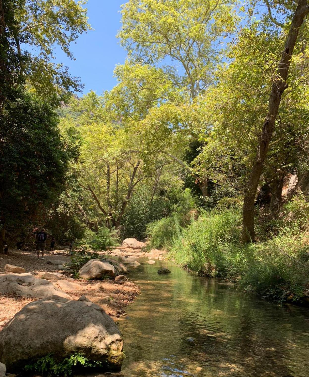 فندق Netta'S Place Mitzpe Hila المظهر الخارجي الصورة